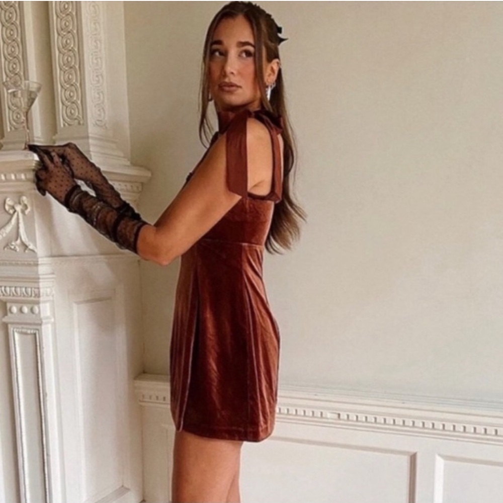 NWT Danielle Bernstein Brown Velvet Mini Dress size S